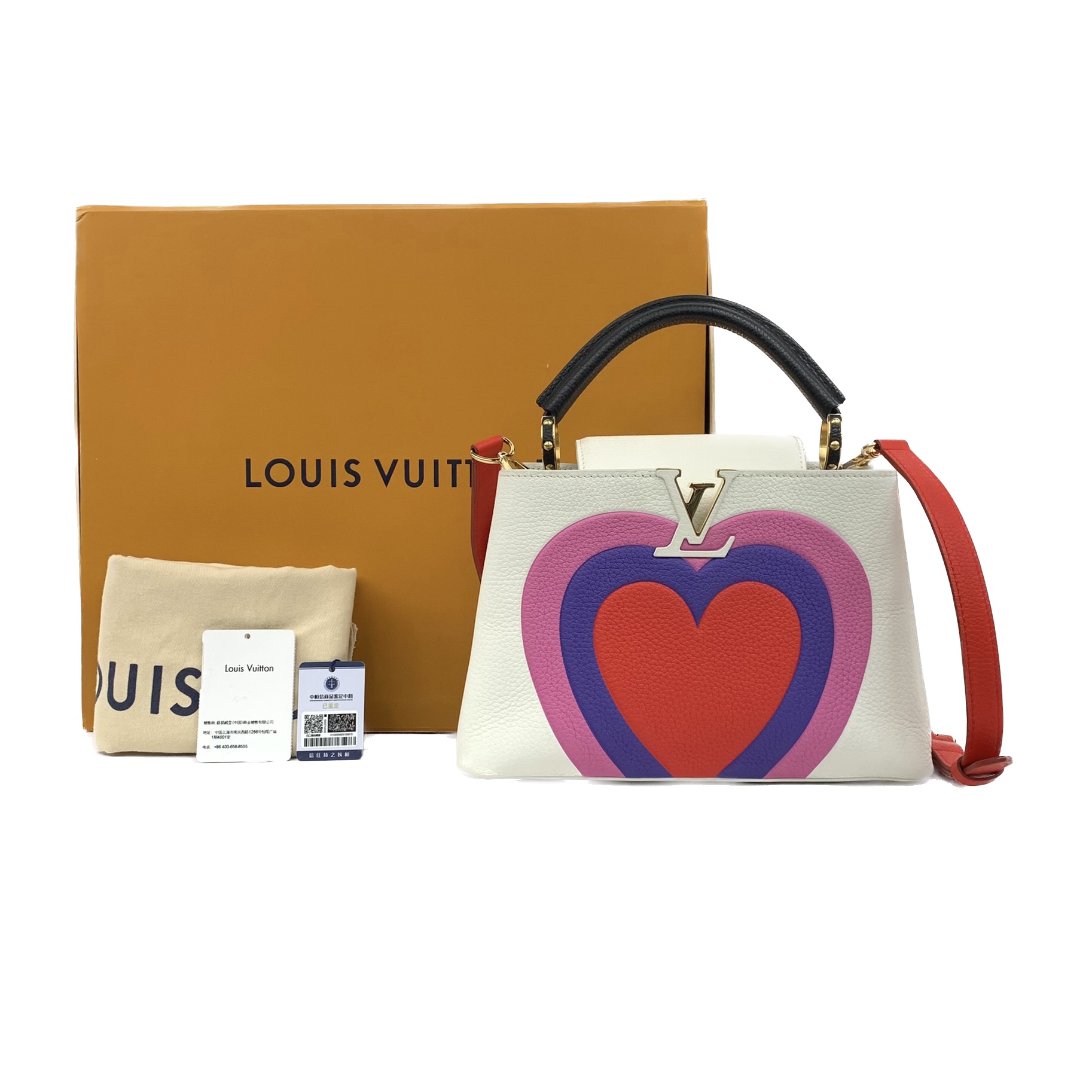 Louis Vuitton///Cowhide/Multicolor